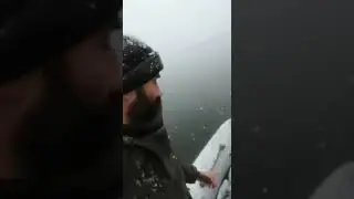 Ставропольский край, Новоселецкий район, озеро “Волчьи ворота”. Падёж птицы продолжается.