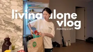 living alone vlog in NYC 🗽 fostering a cat, homecooked meals, slow and quiet days