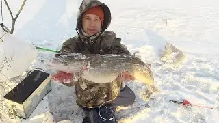 НАКОНЕЦ-ТО ДОБЫЛИ ЩУКУ С ИКРОЙ!!! РЕЦЕПТ ЗАСОЛКИ ИКРЫ