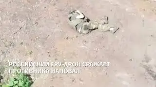 ВСУшник добил раненного сослуживца.A soldier of the Armed of Ukraine finished off  wounded colleague