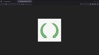 laravel redirect back function ends up on asset url