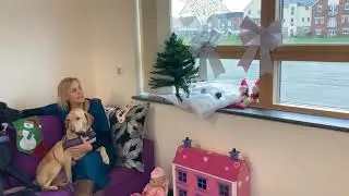 Winter Windowland