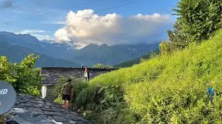 Gaou ka mosam #tech_jaiveer #uttarakhand #pahadi #youtubeshorts #youtube