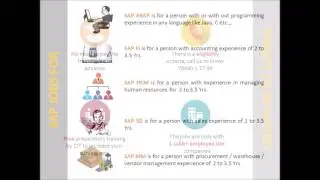 SAP Pre Placement Program