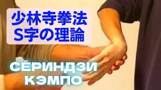 少林寺拳法　S字の理論　＃少林寺拳法　＃S字