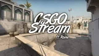 Streaming csgo! ft. Roine