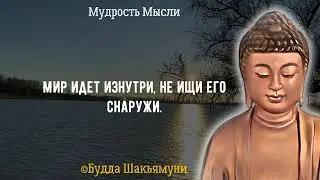 Мудрые слова Будда Шакьямуни  Лучшие Цитаты Будды со смыслом, афоризмы, мудрые мысли. Full Films