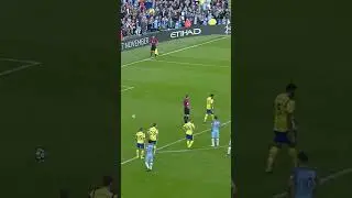 Stekelenburg saves TWO penalties in ONE game!