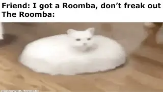 FUNNY goofy goober memes 38