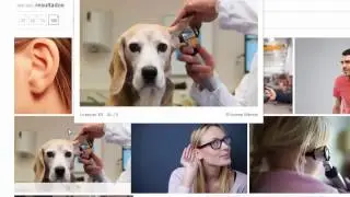 Como colocar imagens alinhadas verticalmente no Wordpress