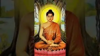 DAILY QUOTES CHALLENGE DAY 55/60 💀🔥 || MAHATMA GOUTAM BUDDHA QUOTE 🗣️ - #quotes #shorts