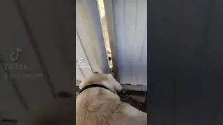 Люда, просыпайся! Валера пришел - есть хочет!