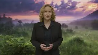 Bundesumweltministerin Steffi Lemke legt "Aktionsprogramm Natürlicher Klimaschutz" vor
