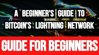 A Beginner's Guide to Bitcoin's Lightning Network