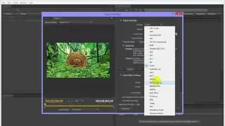 How to Render Video to MP4 with Adobe Media Encoder in After Effects?