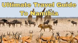 The Ultimate Travel Guide to Namibia