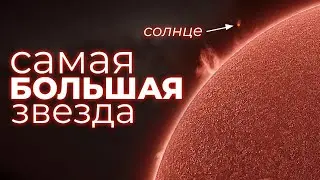 Space Monsters: How Big Can Stars Be?