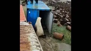 Куда бежать???