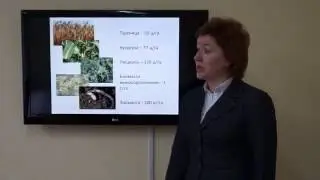 Kurachenko N.L. Soil organic matter