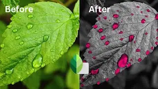 Leaf Photo Editing || Snapseed Photo Editing Tutorial ||