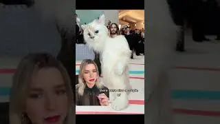 The Met Gala 2023 Highlights