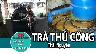 SẢN  XUẤT TRÀ THÁI NGUYÊN THỦ CÔNG NHƯ THẾ NÀO | Tran Van Duy
