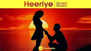 Heeriye - slowed & reverb (TuneMello)