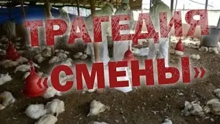 Хатуов: 