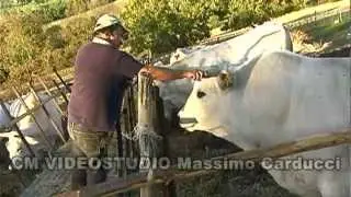 Documentario AGRITURISMO Biologico
