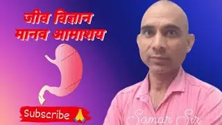 जीव विज्ञान : मानव आमाशय