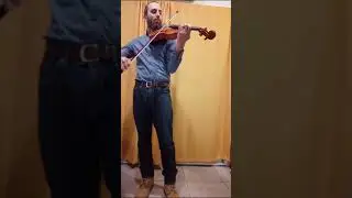 Viola Instructor Nico Ciani