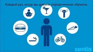 Что такое нейропластичность мозга