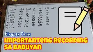 Importanteng Recording para sa Breeders ng Babuyan