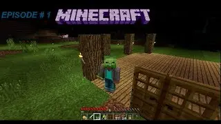 EPISODE 1 MIECRAFT