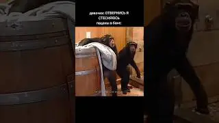 Пацаны в бане : 🤝 