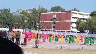 26 January   Dance