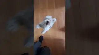 Меня не было дома целых 20 минут 🤪