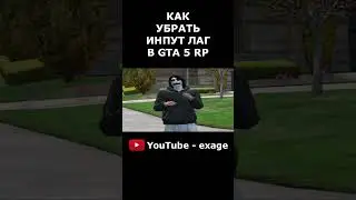 КАК УБРАТЬ ИНПУТ ЛАГ И ПОВЫСИТЬ ФПС В GTA 5 RP 
