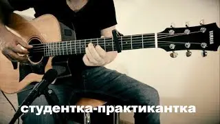 Студентка-практикантка /Евгений Осин/ Гитара Фингерстайл