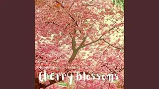Cherry Blossoms (feat. Cee Beats & Araless)