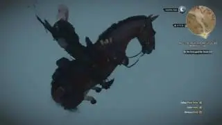 The Witcher 3: Wild Hunt - Phantom Race? (potential spoilers)