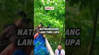 Clean Gardening