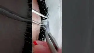 Master the Fox Eye Effect with L Curl Fast & Easy Lashes. 😍