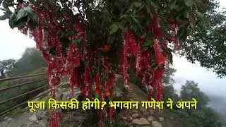 ✨🌺 कार्तिक स्वामी मंदिर: आस्था, भक्ति और हिमालय की गोद में बसे भगवान कार्तिकेय 🌺✨🌸#उत्तराखंड_देवभूमि