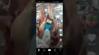 ручная Шкуросъёмка для КРС – Jarvis