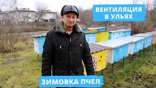 How to organize ventilation in the hives? | Wintering bees