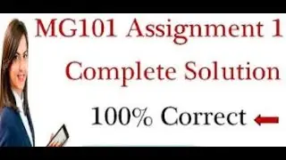 MGT101 Assignment 1 Solution 2021 By tahir || MGT101 Assignment 1 Solution FALL 2020