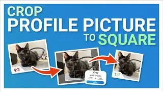 How to crop or resize a photo to make square profile. On Android Smartphone.