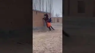 Кучтуу ат экен🔥🔥