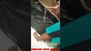 unboxing kursi Gaming